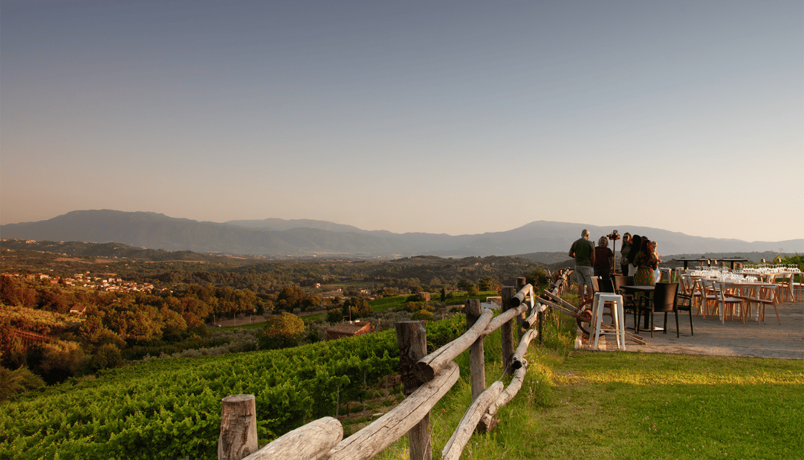 Petrucca e Vela Lazio | selezionata da Tutto il Resto - vini artigianali