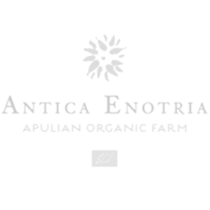 Antica Enotria | Tutto il Resto - Wine Experience Lab