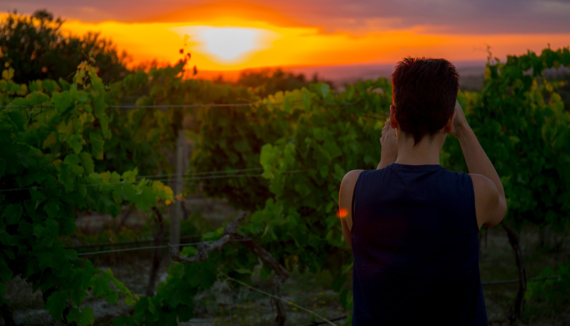 Marilina Sicilia | selezionata da Tutto il Resto - vini artigianali