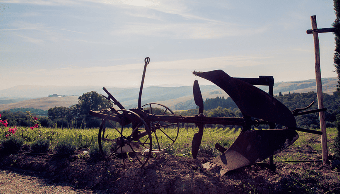 Mocine Toscana | selezionata da Tutto il Resto - vini artigianali