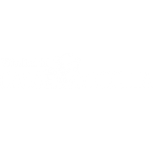 Viticoltori del Casavecchia | Cantina distribuita da Tutto il Resto Vini